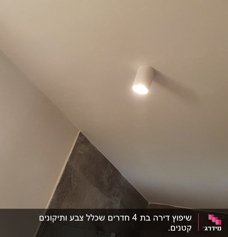 מנורה תקרה, מקלחון זכוכית, קיר אריחים